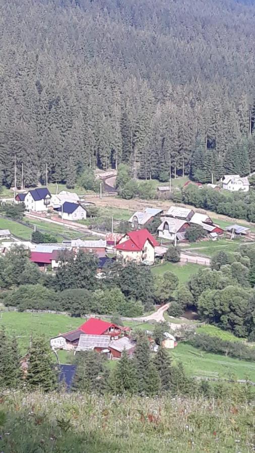 Pensiunea Argela Buitenkant foto