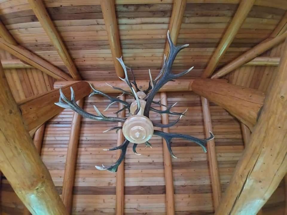 Pensiunea Argela Buitenkant foto