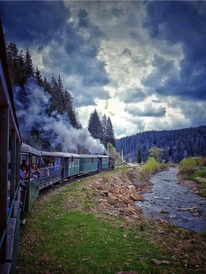 Pensiunea Argela Buitenkant foto